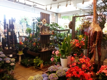 「フラワーピース南信州サンスイ」　（長野県伊那市）の花屋店舗写真2